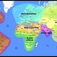 human race earth body